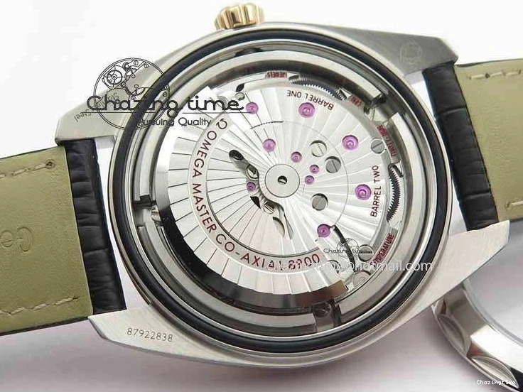 0509 2017 Aqua Terra SS RG XF Best Edition White Textured Dial On Black Leather Strap A Functional 8157